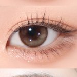 가을뮤트인데 <b>베이지</b> 렌즈 ㄱㅊ?