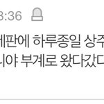 [댓글부탁해] 얘 뭐하는 애임??
