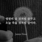 현역들아 100이란 숫자에 쫄지마