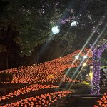 [댓글부탁해] <b>좁쌀</b>여드름 어케ㅠㅠ제발 살려줘