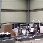 [방탈죄송] +추추가)+사진추가) 도와주세요, 강아지가 이유없이...