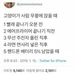 고양이가 사람 무릎에 앉을 때