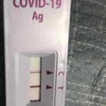 이거 <b>확진</b>이지?