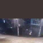 제네시스남 트위터 개웃김ㅠㅜㅠㅠ