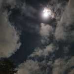 [19] 얘들아 나도 <b>자폐</b>일까?