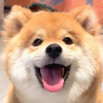 <b>멍뭉이</b>