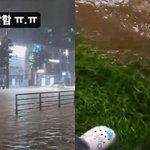 코미디언 김숙이 전한 서울 <b>홍수</b> 상황…화단 위로 대피 후 “갈 길이...
