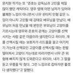 우영우 강태오 고양이 인터뷰 어떻게 생각함?