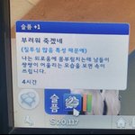 <b>심즈</b>짤