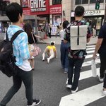 [댓글부탁해] 여기 일본이라는데