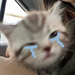 추반해주면 길<b>가다</b> 5만원 주움