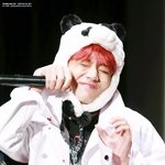 [방탄소년단] 타팬인데 방탄노래 진짜..