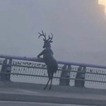 이거 남친한테 서운해도되는거야?