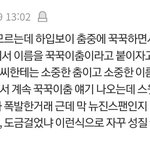 뉴진스 이거 진짜임?