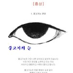 나 눈 ㄹㅇ 이렇게 생겼는데
