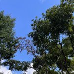 와 날씨 역대급 <b>시원</b>함