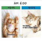 [<b>유머</b><b>픽</b>] 서울사는사람 vs 경기사는사람