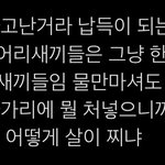 그 혹시 살 많이 찐 애들 잇어? 들어<b>와바</b>! 팁 알려줄게!!