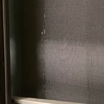 하 야팔 이게 <b>매미</b>오줌인가바