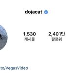 블핑이랑 <b>도자캣</b> 콜라보 하는 거 찐인 듯