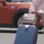 캐리어로 보는 한바다즈 성격 ㅋㅋ