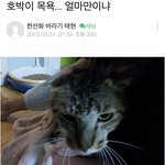 [TXT] 태현이 너무 신기해