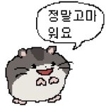 나 바닷가 갔는데 <b>민폐</b> 쩌는 사람들 봄ㅋㄱㄱㄱㄱ