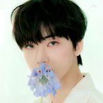 [NCT드림] <b>캔디</b>랩 재미니 짱조음