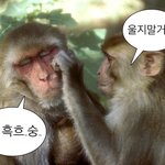 개싸가지 여동생 어떡하면 좋음
