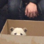 [드루와] <b>한예종</b> 준비하는 애들 있어??