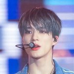 <b>제노</b>예용