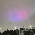 <b>산책</b>하다 보여서 찍었는데 이게 모야?