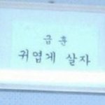 [드루와] 최애랑 결혼추반