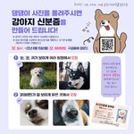 [강아지] 개민증 <b>무료</b>로 만들어 보세요~~