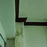 [꼭조언부탁] 아랫집에서 물이샌다고 찾아왔는데요