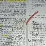 얘들아 나 <b>칭찬해조</b>…ㅠㅠ 고2자퇴생인데