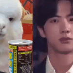 [방탄소년단] 애<b>도리</b>