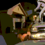 미국 <b>커뮤</b> 난리난 짤 (약혐)