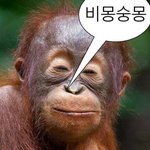 인생 선배님들 고등학교 고민 좀 들어주세요 +)제발 한 번만 읽어줘