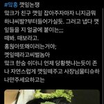 [NCT드림] 이거 마크 캐해 ㄹㅈㄷ