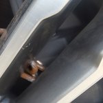 카페 주차장에 주차를 해놓았는데 쇠사슬을 걸어놓았습니다