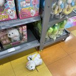 [이것좀봐줘] 장난감 <b>코너</b>에 유기견ㅠㅠ