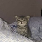 [댓글부탁해] 옷핏 <b>좌우</b>하는 조건이 뭘까