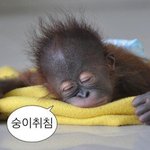 <b>밤낮</b> 바뀌고 나서