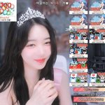 약간 <b>노정</b>의 닮음