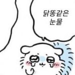 [19] 님드라ㅠ <b>침수</b>지역 분실물 못찾아?