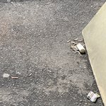 [이것좀봐줘] 제주도