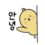 [방탄소년단] 윕어스에 뿅<b>아리</b> 한국 도착!!