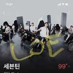 <b>캐럿</b>인데 한번 보고왔어