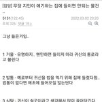 무당이 절대 집에 들이면 안된다고 말하는 물건들